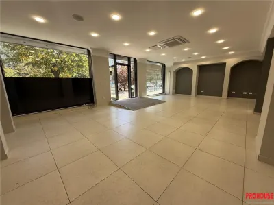 Stefan cel Mare - spatiu comercial stradal 120mp - foto 4
