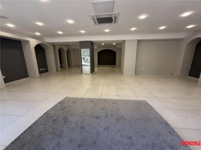 Stefan cel Mare - spatiu comercial stradal 120mp - foto 7