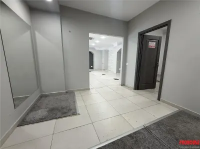 Stefan cel Mare - spatiu comercial stradal 120mp - foto 10