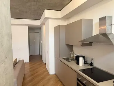 Inchiriez apartament cu 2 camere in zona Floreasca, pe termen scurt - foto 2