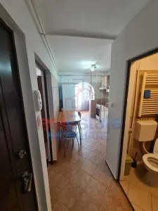 Apartament 1 Camera Podul de Fier - Statia Padurii - foto 4
