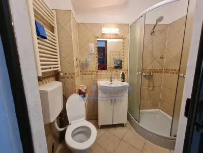 Apartament 1 Camera Podul de Fier - Statia Padurii - foto 7