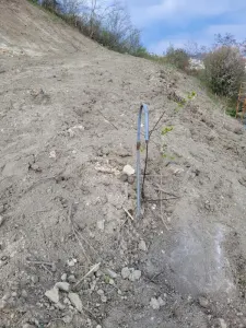 Teren Intravilan Grigorescu - foto 4
