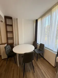 Inchiriez apartament 1 camera, proaspat renovat | Rogerius – Aluminei - foto 2