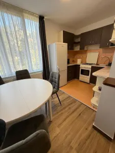 Inchiriez apartament 1 camera, proaspat renovat | Rogerius – Aluminei - foto 3