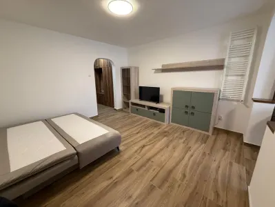 Inchiriez apartament 1 camera, proaspat renovat | Rogerius – Aluminei - foto 4