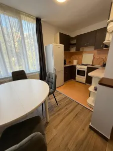 Inchiriez apartament 1 camera, proaspat renovat | Rogerius – Aluminei - foto 5