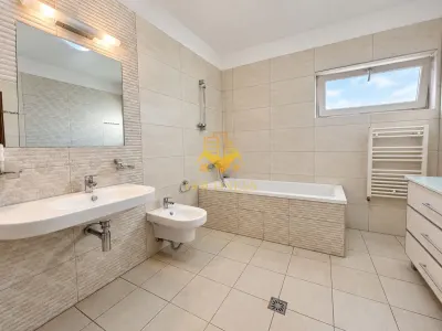 Birouri/Activitati medicale, 950mp, Parcari, Manastur, Frunzisului - foto 13