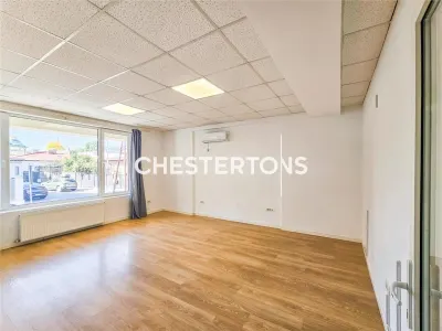 Spatiu Comercial  - Tineretului, pretabil clinica infrumusetare, clinica veterinara, 2 intrari si parcare - foto 7