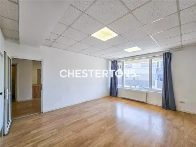 Spatiu Comercial  - Tineretului, pretabil clinica infrumusetare, clinica veterinara, 2 intrari si parcare - foto 9