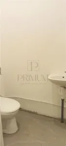 Spatiu comercial cu intrare din strada si vitrina - Ultracentral - foto 6