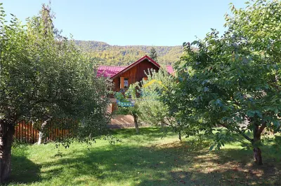 Casă 4 camere Comarnic - poza 14