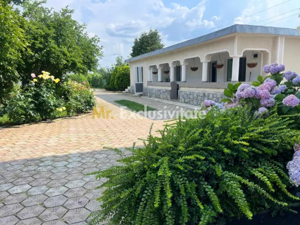 Casă 6 camere Darmanesti - poza 2
