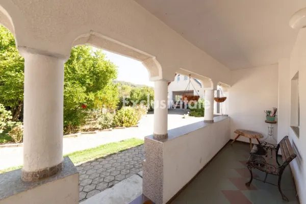 Casă 6 camere Darmanesti - poza 11