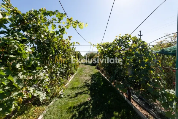 Casă 6 camere Darmanesti - poza 18