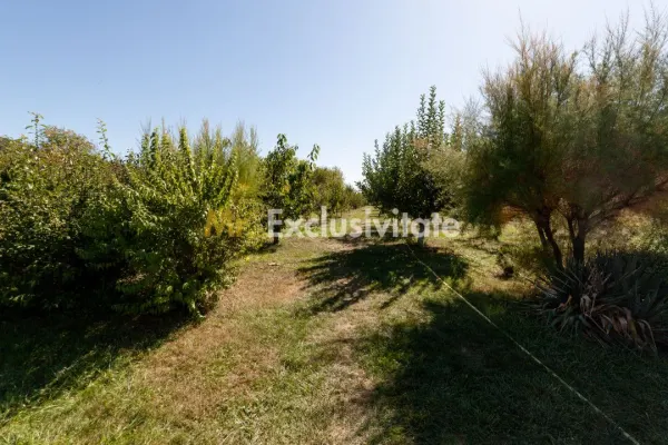 Casă 6 camere Darmanesti - poza 6