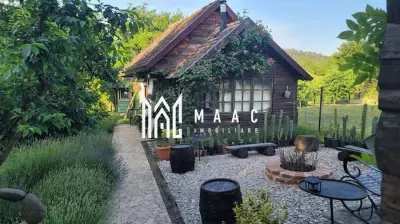 Casă 5 camere de vânzare | Bazna | 3 CF | 7.500 mp teren - foto 12