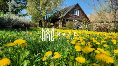 Casă 5 camere de vânzare | Bazna | 3 CF | 7.500 mp teren - foto 5