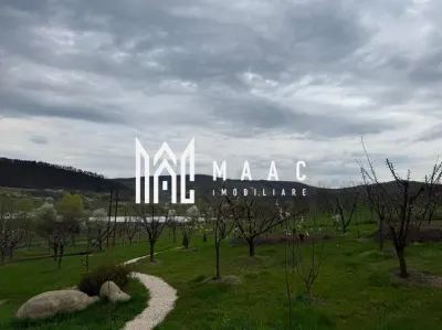 Casă 5 camere de vânzare | Bazna | 3 CF | 7.500 mp teren - foto 6