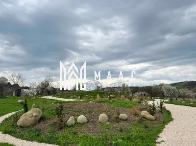 Casă 5 camere de vânzare | Bazna | 3 CF | 7.500 mp teren - foto 10