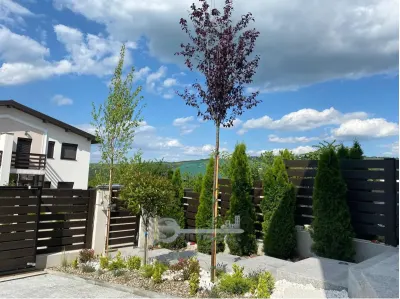 Duplex Bucium - Mobilat si utilat complet - Iasi