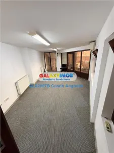 Spatiu reprezentativ pentru birouri: vila cu 7 camere - Parcul Carol - foto 3