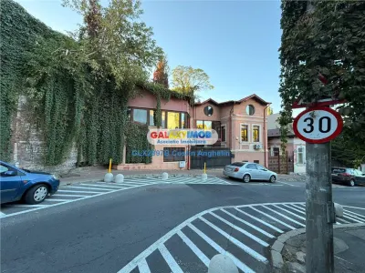 Spatiu reprezentativ pentru birouri: vila cu 7 camere - Parcul Carol - foto 27