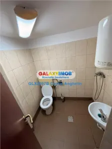 Spatiu reprezentativ pentru birouri: vila cu 7 camere - Parcul Carol - foto 6