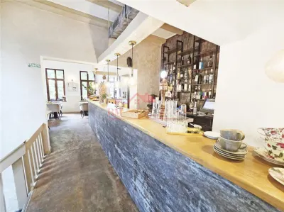 Restaurant complet utilat - Gradina Icoanei - Afacere la cheie - foto 5