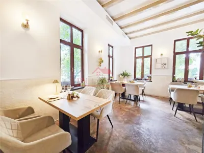 Restaurant complet utilat - Gradina Icoanei - Afacere la cheie - foto 6