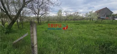 Casă veche + teren 3100 mp | Galda de Jos | Acces râu - foto 3