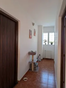 Apartament 2 camere Cluj-Napoca - poza 8