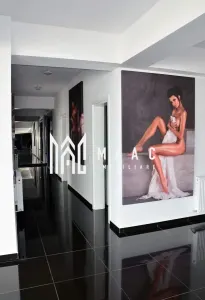 Penthouse 3 camere de închiriat | Șelimbăr | 244 mp - foto 6