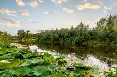 Teren Lacul Snagov 1.976 mp | 19,18 m front la lac | Vilă P+1 | 0% com - foto 2
