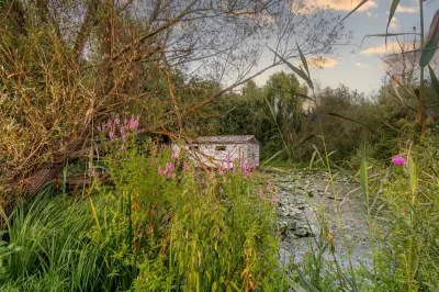 Teren Lacul Snagov 1.976 mp | 19,18 m front la lac | Vilă P+1 | 0% com - foto 6