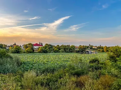 Teren Lacul Snagov 1.976 mp | 19,18 m front la lac | Vilă P+1 | 0% com - foto 7