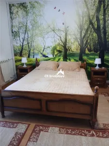 Apartament 2 camere, Nerva Traian - foto 4