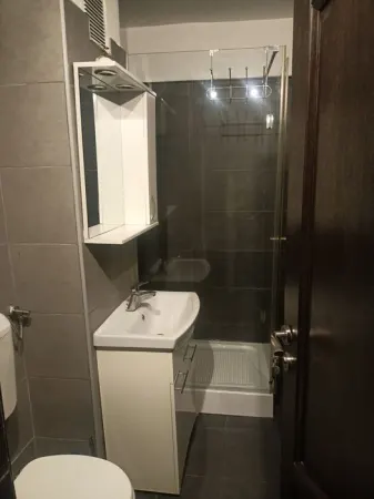 Apartament 1 camera Timișoara - poza 3