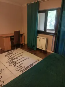 Apartament 1 camera Timișoara - poza 5