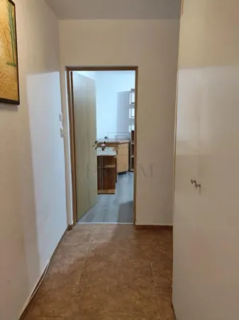 Apartament 1 camera Timișoara - poza 4