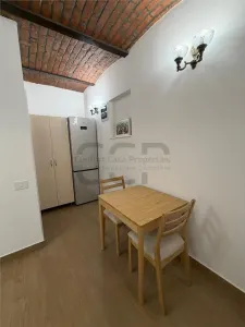 Victoriei - Titulescu , Vila D+P+M, nemobilata - foto 7