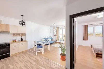Torontalului, 2 Camere de Inchiriat, Centrala, Clima, Parcare - foto 4