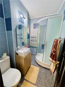 Apartament 3 camere Cantemir - zona Podu Ros - foto 9