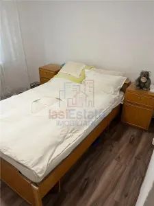 Apartament cu 3 camere  etajul 1 zona Petru Poni - Pacurari - foto 2