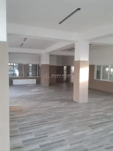 Spatiu comercial de inchiriat 230 mp Strada Petru Cercel - Regata - foto 5