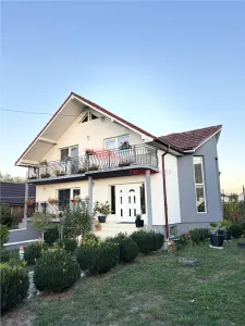 Casa D+P+M, Cociu - Cociu