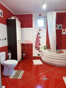 Casa D+P+M, Cociu - foto 7