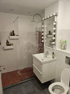 Ofer spre inchiriere apartament cu 2 camere in complexul rezidential Acta Colors - foto 4