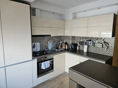 Ofer spre inchiriere apartament cu 2 camere in complexul rezidential Acta Colors - foto 5