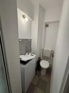 PERSOANA FIZICA inchiriez apartament 3 camere decomandat, Tatarasi, Oancea - foto 6